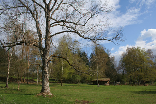 camping