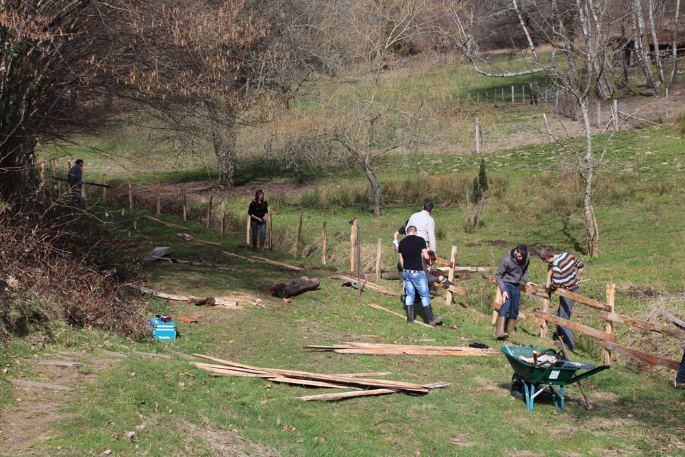 chantier poulettes