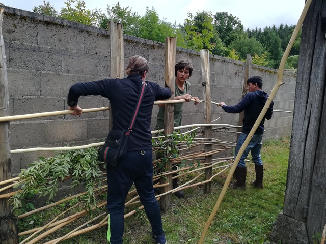 chantier palissage