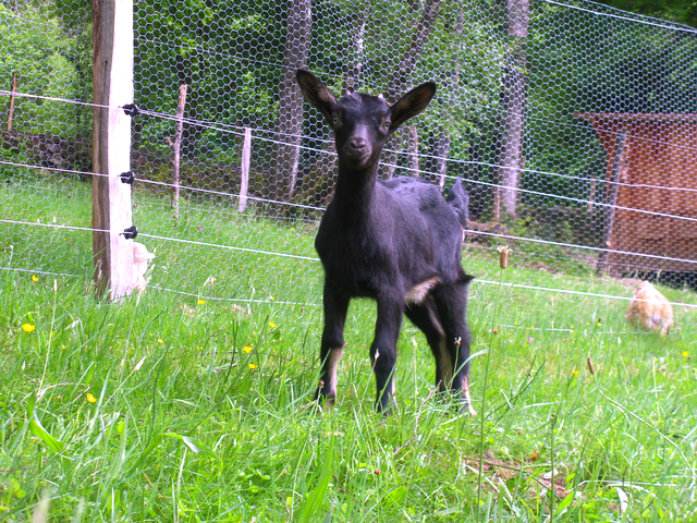 vasi jeunes atelier ferme 2014 06